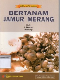 Image of Bertanam Jamur Merang