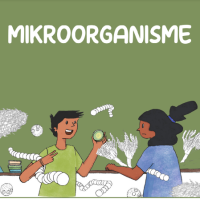 Image of E-book Mikroorganisme