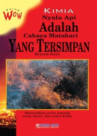 Image of Kimia Nyala Api adalah Cahaya Matahari yang Tersimpan