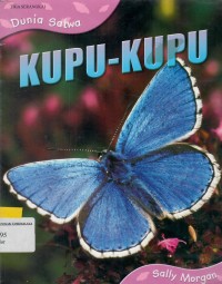 Image of Kupu-Kupu